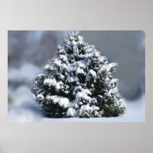 Belleza del invierno impresiones