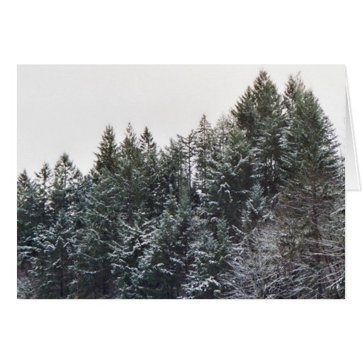 Belleza del invierno tarjetón