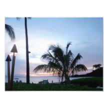 Belleza del Palm Beach de Maui Fotografía