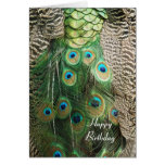 Belleza del pavo real - tarjeta de felicitación de