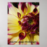 Belleza floreciente posters