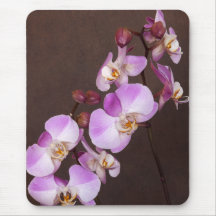 Belleza mágica de la orquídea del Phalaenopsis Tapete De Ratón