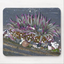 Belleza Mousepad de la piscina de la marea alfombrillas de raton 