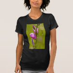 Belleza rosada camiseta