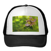 Belleza rosada gorra