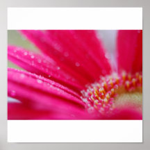 belleza rosada posters