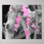 Belleza rosada impresiones