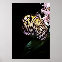 Belleza suave impresiones