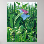 Belleza y las bestias posters