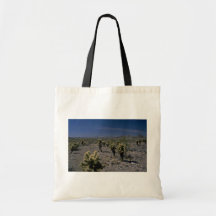 Bellezas en un desierto bolsas lienzo