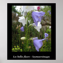 Bellezas Fleurs de Les Impresiones