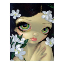 "Bellezas venenosas II: Postal del Oleander blanco