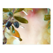 Bellotas Postal