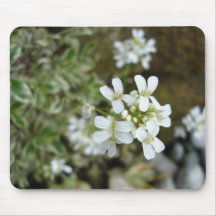 bergblume mousepads