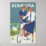 Bermudas Poster