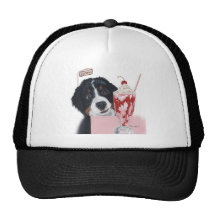 Bernerlicious Gorras