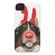 Bernese Roodolph (Rudolph) Case-Mate iPhone 4 Cárcasa