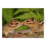 Besar la tarjeta de los Chipmunks del bebé tarjetas