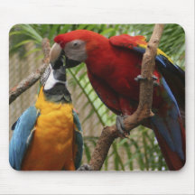 Besar Macaws Alfombrilla De Raton