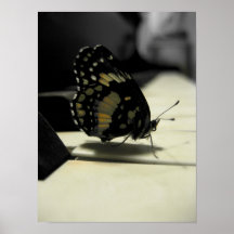 Besos de la mariposa posters