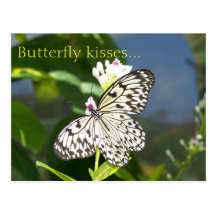 Besos de la mariposa tarjetas postales