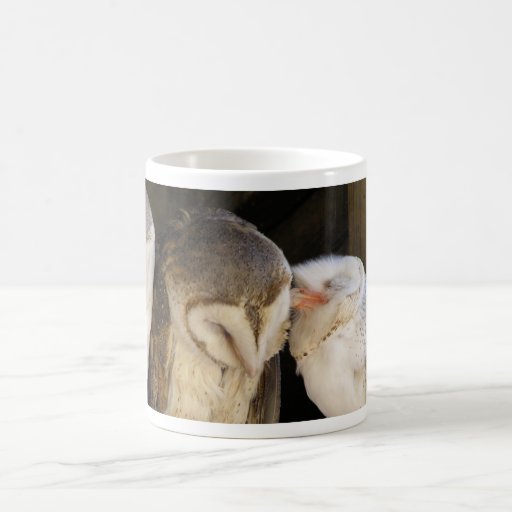 Besos del búho tazas de café