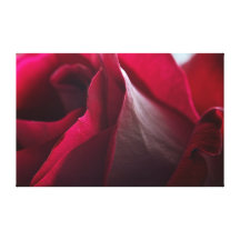 Besos del rosa impresión en lienzo estirada