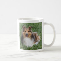 Bess1, Sheltie en el líder de ChargeA podemos toda Taza