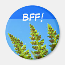 ¡BFF! regalos de los imanes de los amigos del ciel