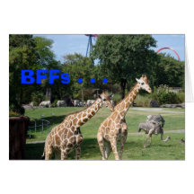 BFFs… Tarjeton