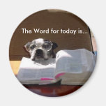 Biblia que lee el imán de Boston Terrier