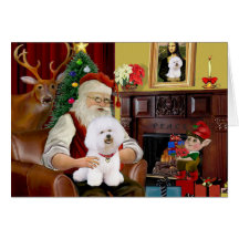 Bichon de Santa Frise (#1) Felicitacion