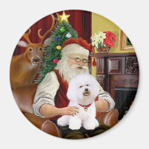 Bichon de Santa Frise (#1) Imanes