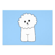 Bichon Frise. Anuncio