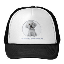 Bichon Frise Granddog Gorros