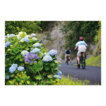 Bicicletas y hydrangeas arte fotografico