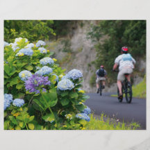 Bicicletas y hydrangeas tarjeton