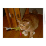 Bill el gato felicitacion 