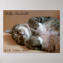 Billy en el resto posters