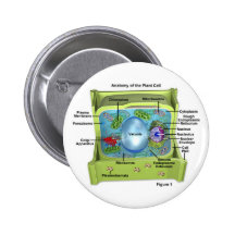 Biología Pins