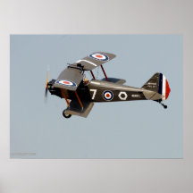 Biplano de WWI Posters