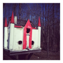 Birdhouse Arte Fotografico