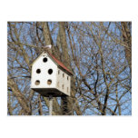 Birdhouse del patio trasero tarjetas postales