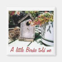 Birdhouse Imán