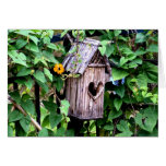 Birdhouse Tarjeton