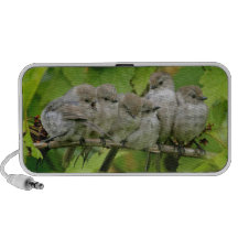 Birds of a Feather Altavoz
