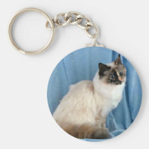 Birman, punto del tortie del sello llavero