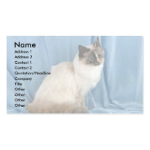 Birman, punto del tortie del sello plantillas de tarjeta de negocio