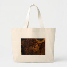 Bisonte Bolsas De Mano