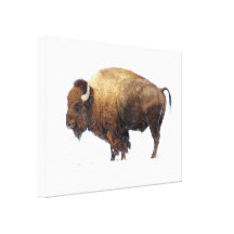 Bisonte de Montana Lienzo Envuelto Para Galerias